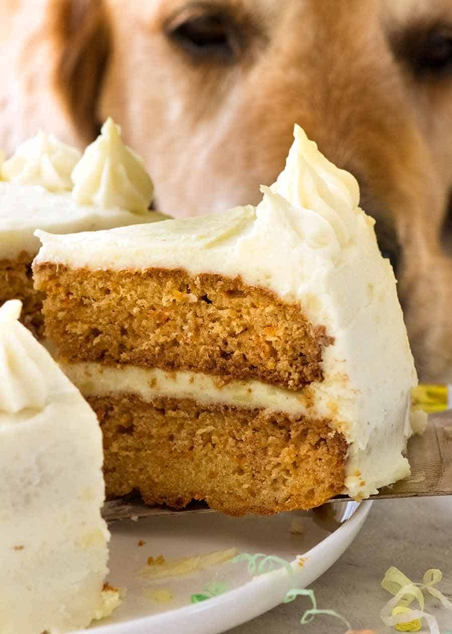 Close of photo of slice of dog birthday cake