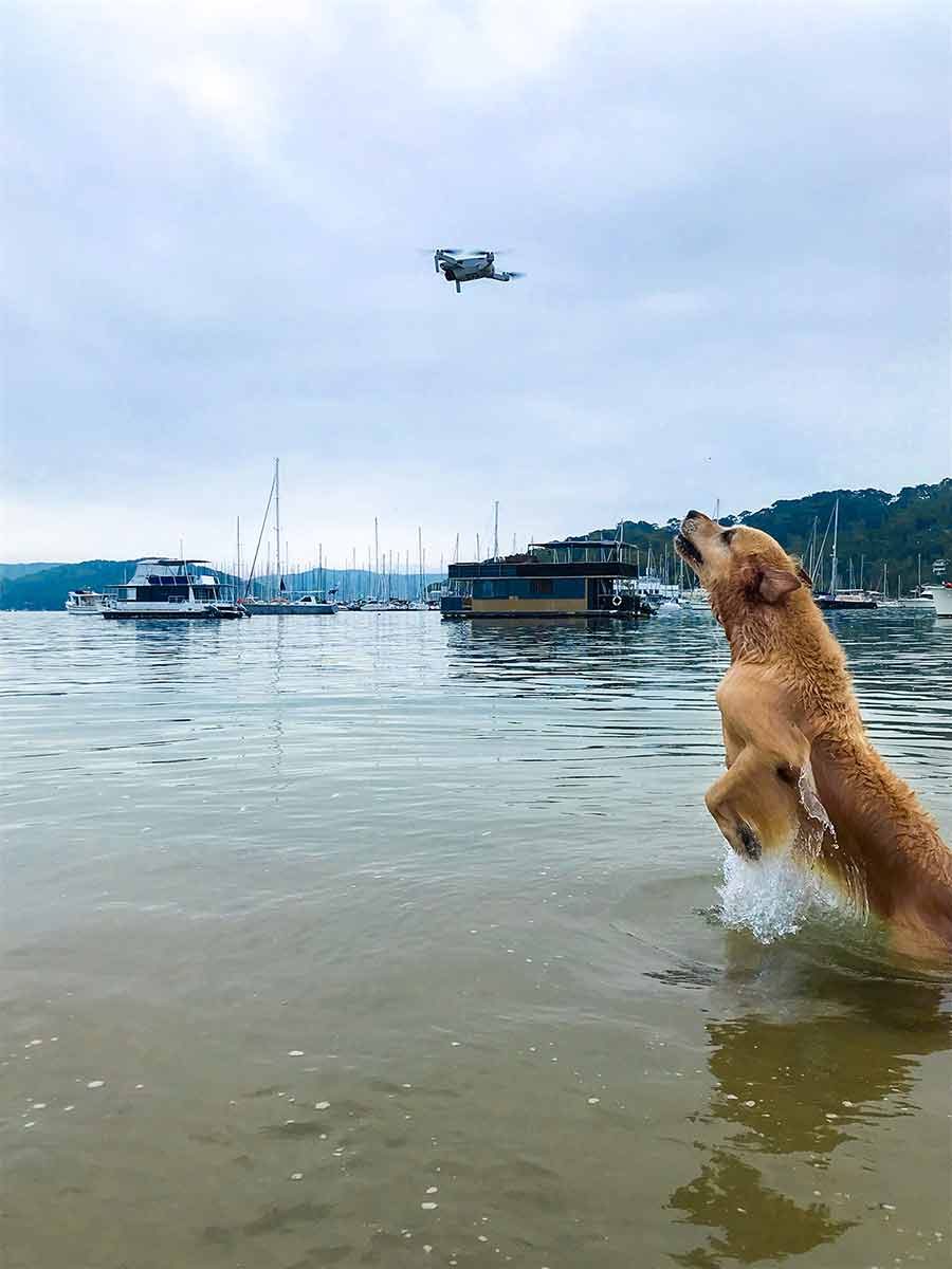 Dozer chasing drone